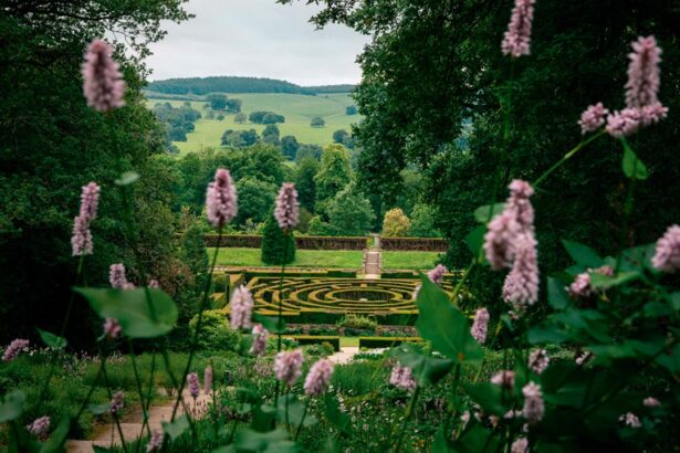 Forget Cornwall or the Cotswolds—Thanks to This New Country Hotel, Derbyshire Is Having a Moment