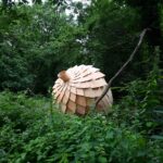 a large wooden acorn rests in a forest