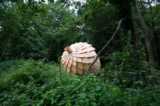 An Enormous Fractured Acorn Seeds Meditation Among the Trees — Colossal