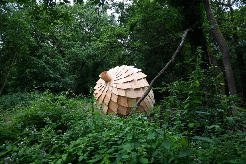 a large wooden acorn rests in a forest