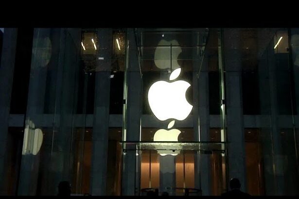 Apple board opposes proposal to abolish DEI programs