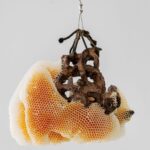 a ceramic sculpture with honeycomb swelling around it particularly toward the left side