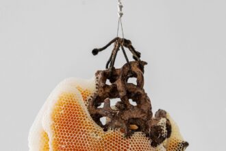 a ceramic sculpture with honeycomb swelling around it particularly toward the left side