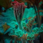 a photograph of giant rhubarb with a light emitting from the center of a leaf, in a pink and teal hue