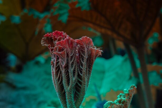 Beguiling Botanicals Fluoresce in Tom Leighton’s Otherworldly Photographs — Colossal