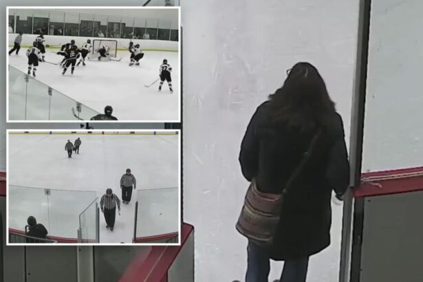 Boston hockey mom facing charges for assaulting refs after game