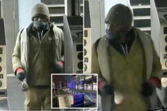 Brute strikes elderly woman with golf club in NYC subway station