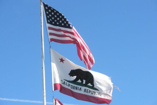 Cali Business Owner Used 1 Trick to Make His Store Theft-Proof: Shoplifters Caught Visibly Annoyed on Camera |