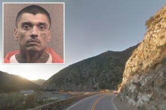 California felon escapes custody by simply strolling away from low-security work site