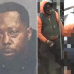 Career criminal who attacked elderly man on train freed without bail