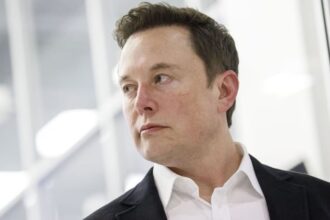 China Exploring Possible Sale Of US TikTok Operations To Elon Musk: Report