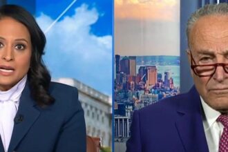 Chuck Schumer Shuts Kristen Welker Down After She Infers Democrats Lied About Biden's Mental Sharpness