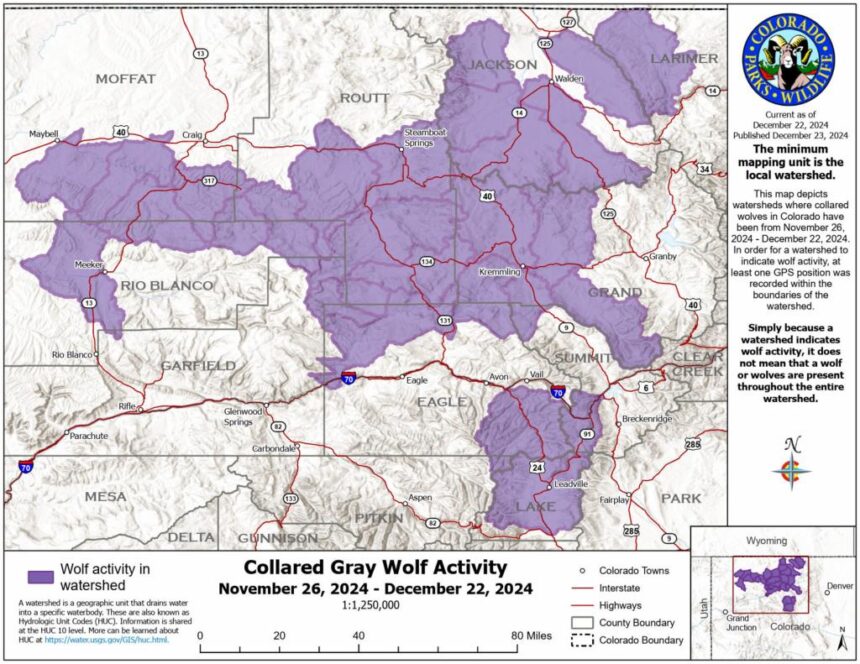 Colorado wolf map shows where 8 collared wolves traveled in December