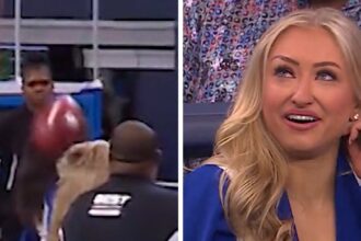 Cowboys Cheerleader Takes Football to the Head During Final Game of Season