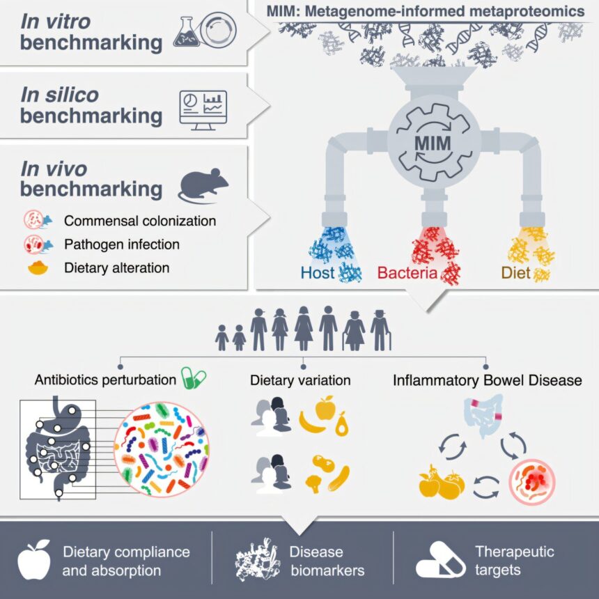 Detailed protein activity maps assess intestinal health