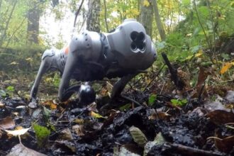 Dog robots can trek through mud using moose-inspired hooves