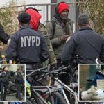 Exclusive | NYPD can help feds nab migrant crooks -