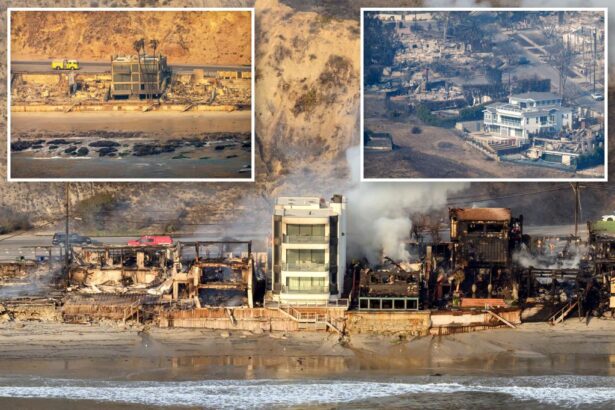Few lucky mansions escape Palisades Fire’s wrath in Malibu: photos