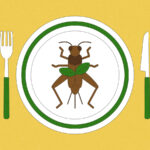 Fiction to reality: Will the U.S. ever embrace insect cuisine? - Grist