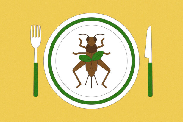 Fiction to reality: Will the U.S. ever embrace insect cuisine? – Grist