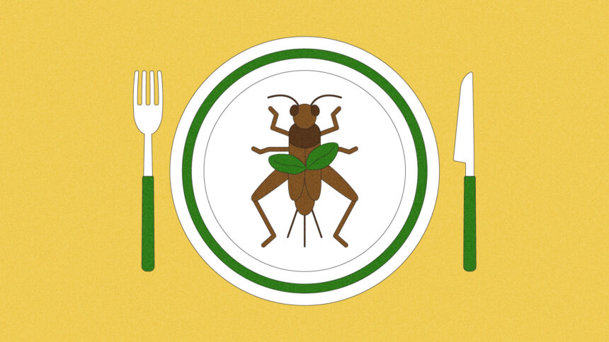 Fiction to reality: Will the U.S. ever embrace insect cuisine? - Grist