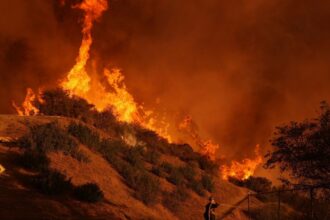 Fires Burn Los Angeles Schools And Destroy Outdoor Education Sanctuaries