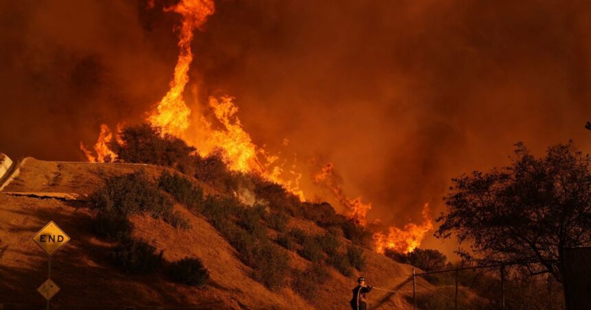 Fires Burn Los Angeles Schools And Destroy Outdoor Education Sanctuaries