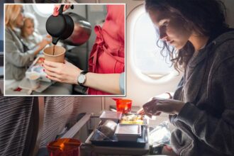 Food, drinks taste different on a plane and there's a reason, experts say