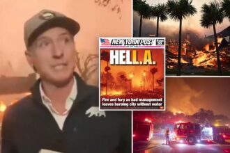 Gov. Newsom passes the buck to 'local folks' when asked about hydrants running out of water during Pacific Palisades fire