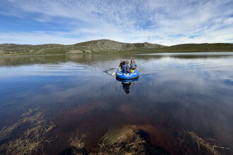 The field team sampling a lake near Kangerlussuaq, Greenland, that browned after the extreme events.