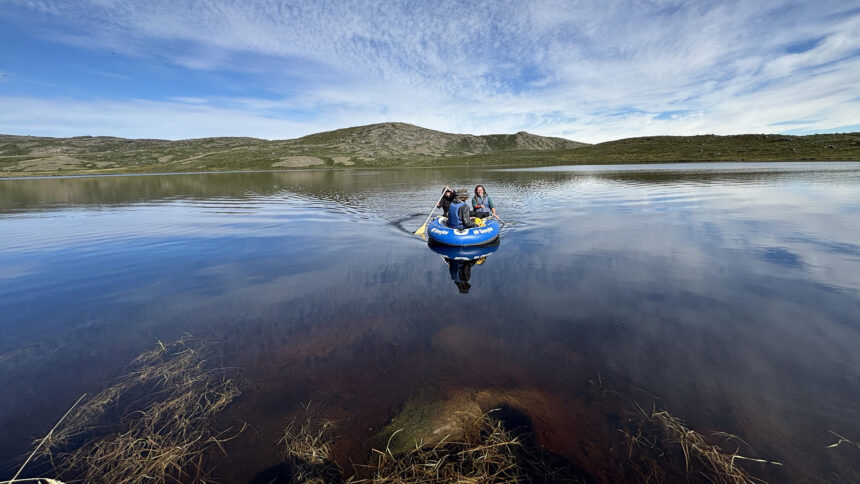 The field team sampling a lake near Kangerlussuaq, Greenland, that browned after the extreme events.