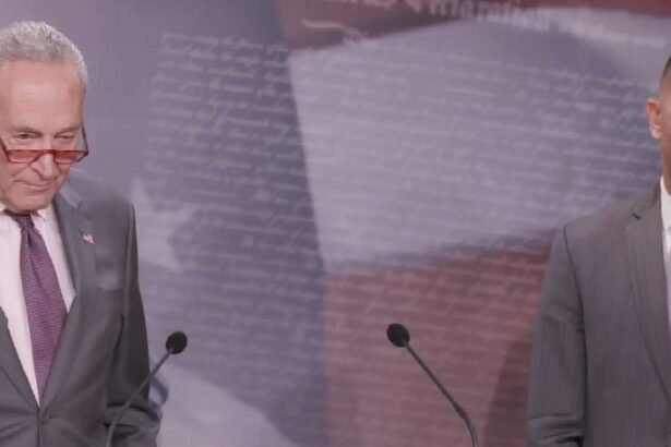 Hakeem Jeffries And Chuck Schumer Have Their Strategy For Democrats, And It’s A Good One