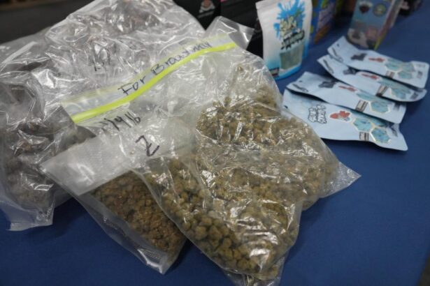 Hidden toll of NY’s legal weed: violence, psychosis and mayhem