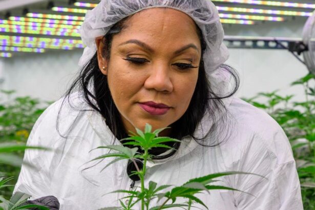 How Queen Zulu—Dr. Macias—Lost Her Home, Then Built A Cannabis Empire And Inspired Brittney Griner