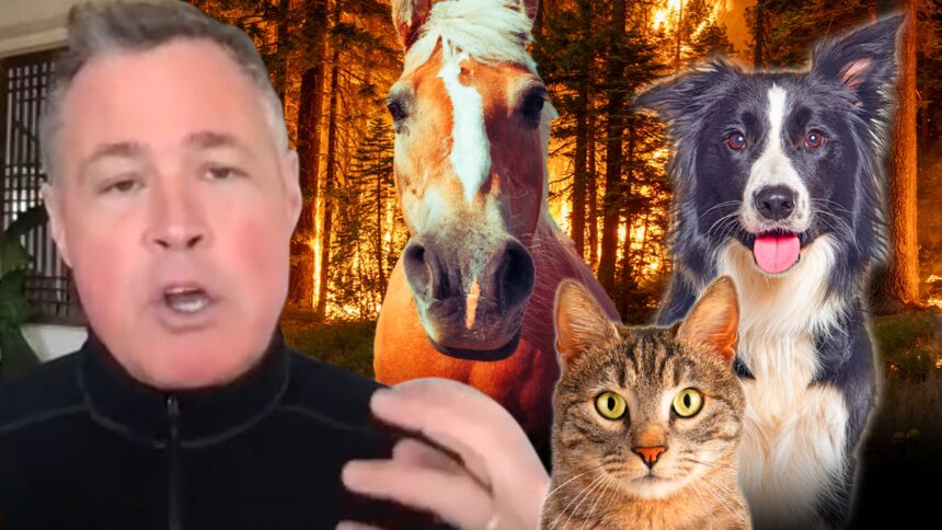 Jeff Corwin Calls Wildfires 'Catastrophe' for Mountain Lions, Condors, Bears