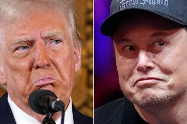 Maggie Haberman: Trump Complains Musk ‘Is Around A Lot’