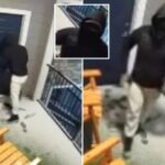 Man checks on brother’s apartment after security alert and ends up shot by burglar