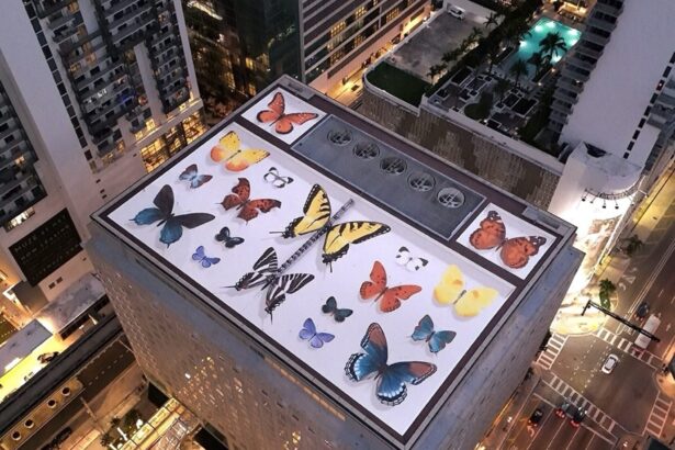Mantra’s Murals Collect Enormous Butterflies in Building-Size Specimen Cases — Colossal