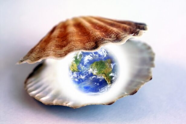 Mind Your Metaphors – Econlib