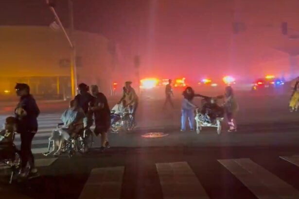Nursing Home Patients Raced Across Street to Escape Raging Los Angeles Wildfire as Winds Exceed 85 MPH (VIDEO) |