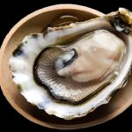 Oyster Blood Could Be Vital in The Fight Against Superbugs : ScienceAlert