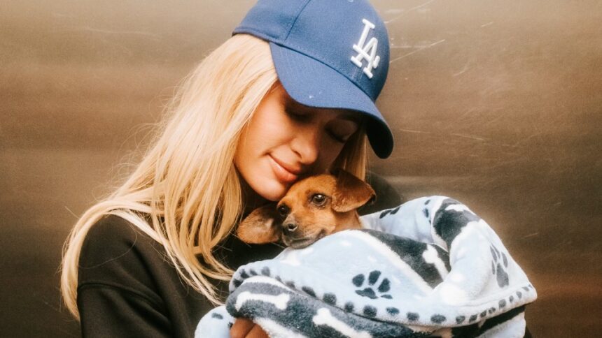 Paris Hilton Raises $800,000 for GoFundMe's Wildfire Relief Fund