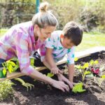 Planning Your Raised Garden - Earth911