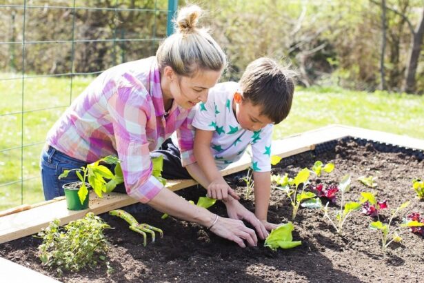 Planning Your Raised Garden – Earth911