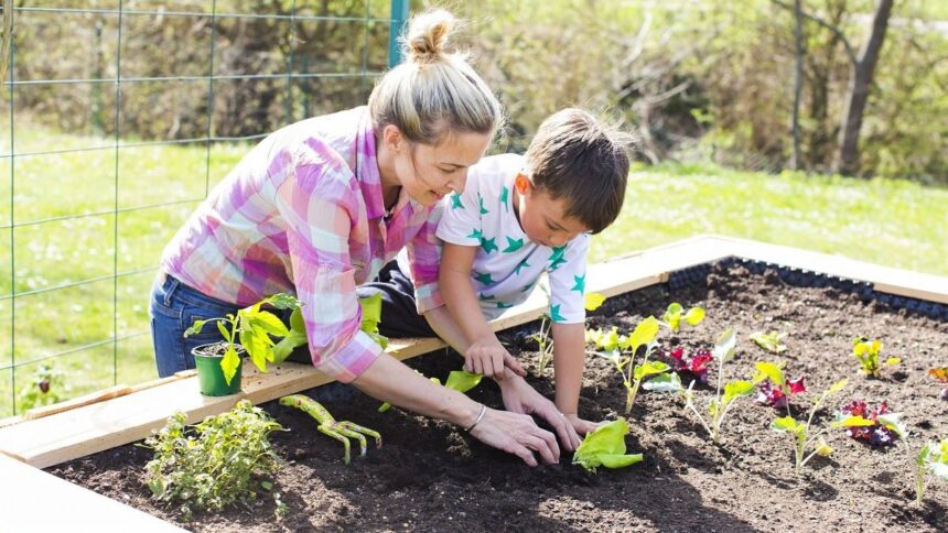 Planning Your Raised Garden - Earth911