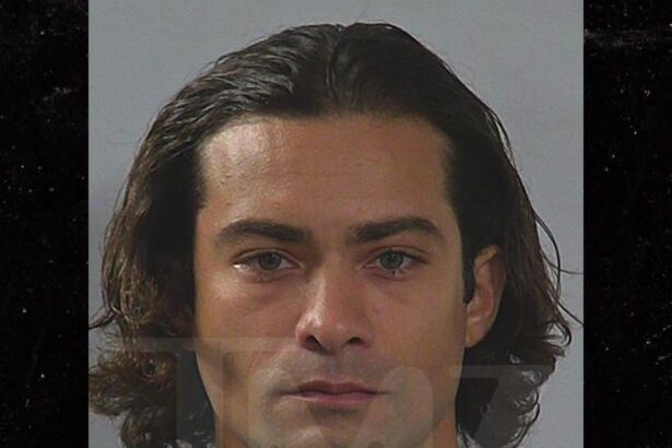 ‘Power Rangers’ Actor Hector David Jr. Pleads Guilty to Battery, Jailed