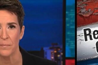 Rachel Maddow Shows How To Pump The Brakes On Trump