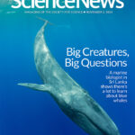 Cover of November 2, 2024 issue of Science News