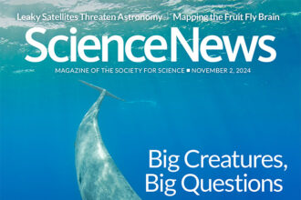 Cover of November 2, 2024 issue of Science News