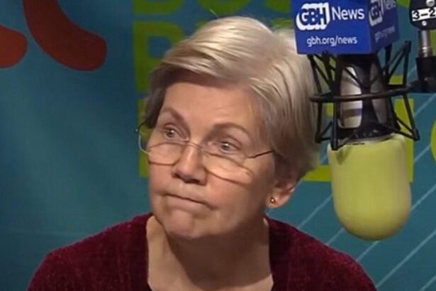 Senate Banking Committee Member Elizabeth Warren Does Not Understand How Social Security Works |